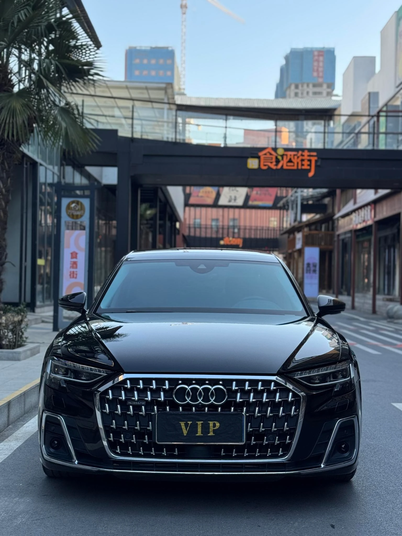 Audi A8L 50 TFSI Quattro  - exterior
