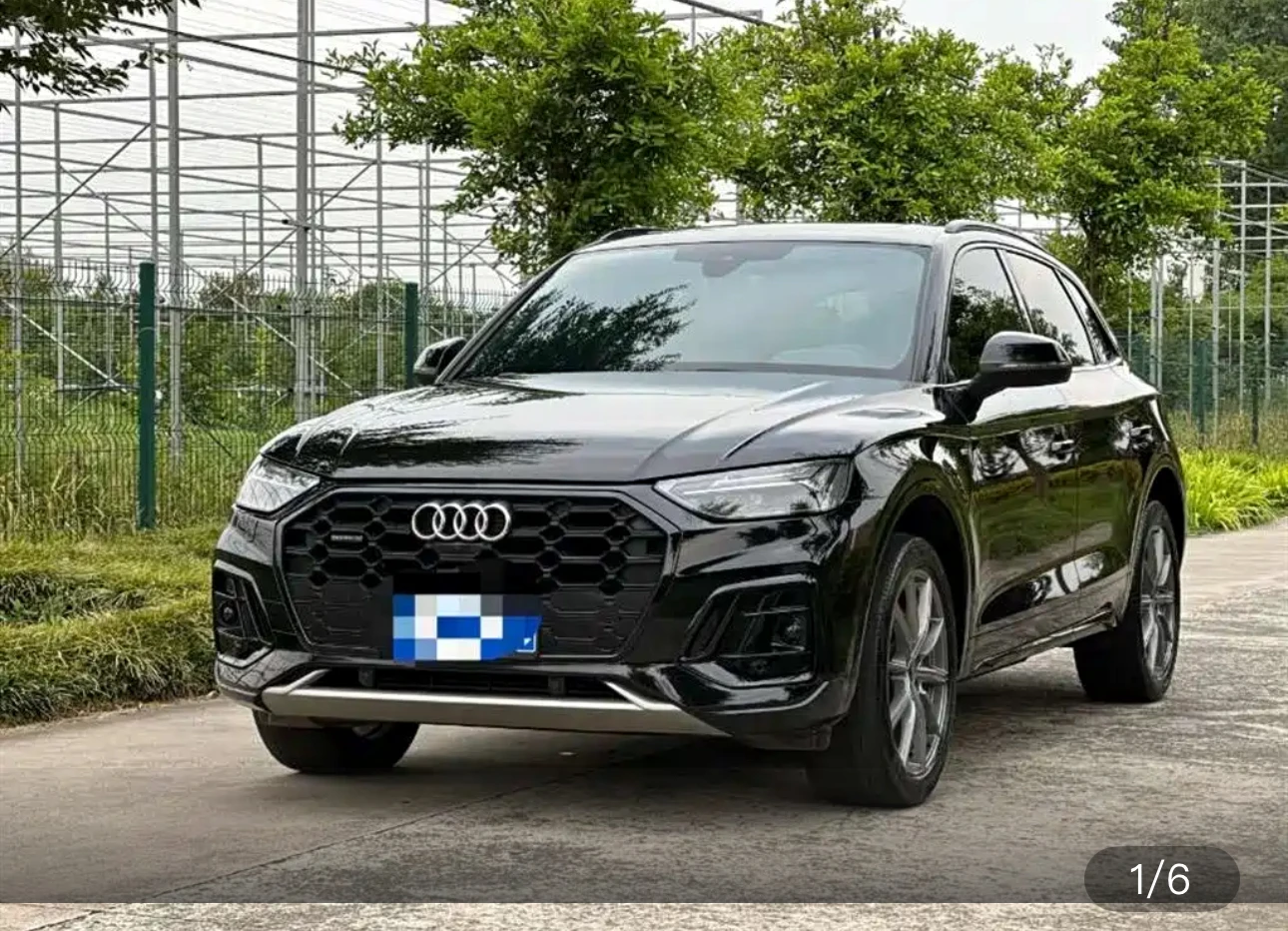 Audi Q5L 45 Luxury Dynamic Trim