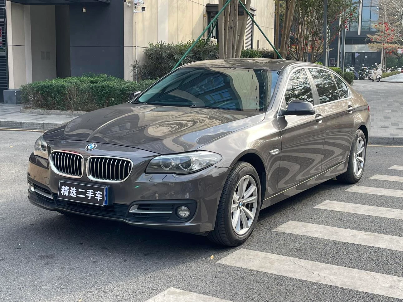 BMW 5 Series  520Li 