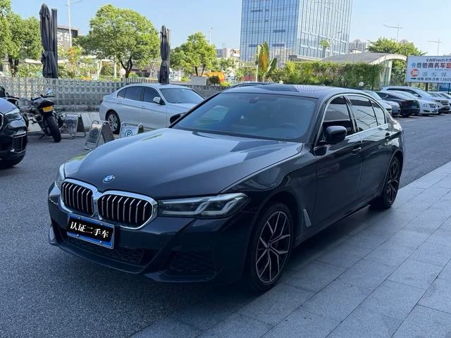 BMW 5 Series 530Li Luxury