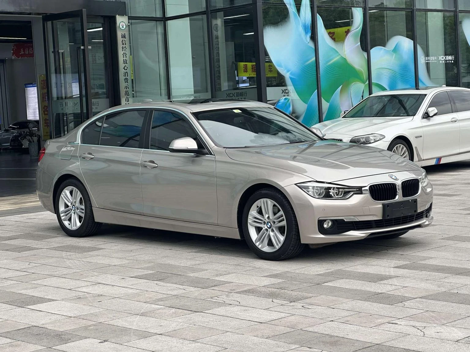BMW 3 Series  320Li  - exterior