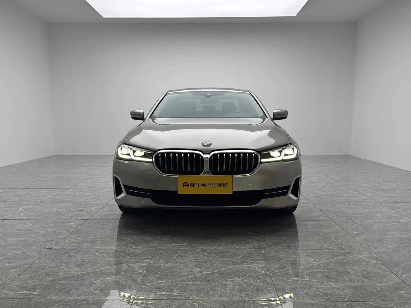 BMW 5 Series 530Li Leading Edition - exterior