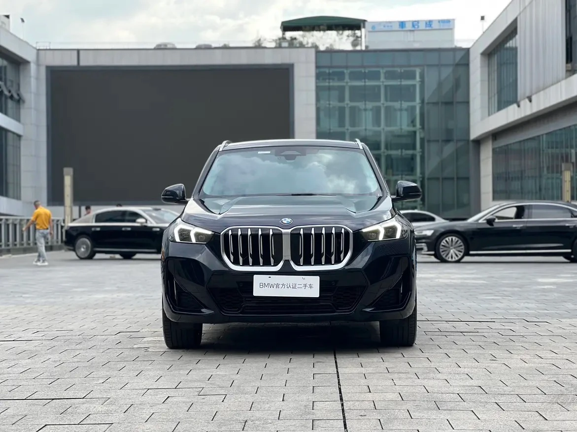 BMW X5 xDrive 25Li M Sport Package - exterior