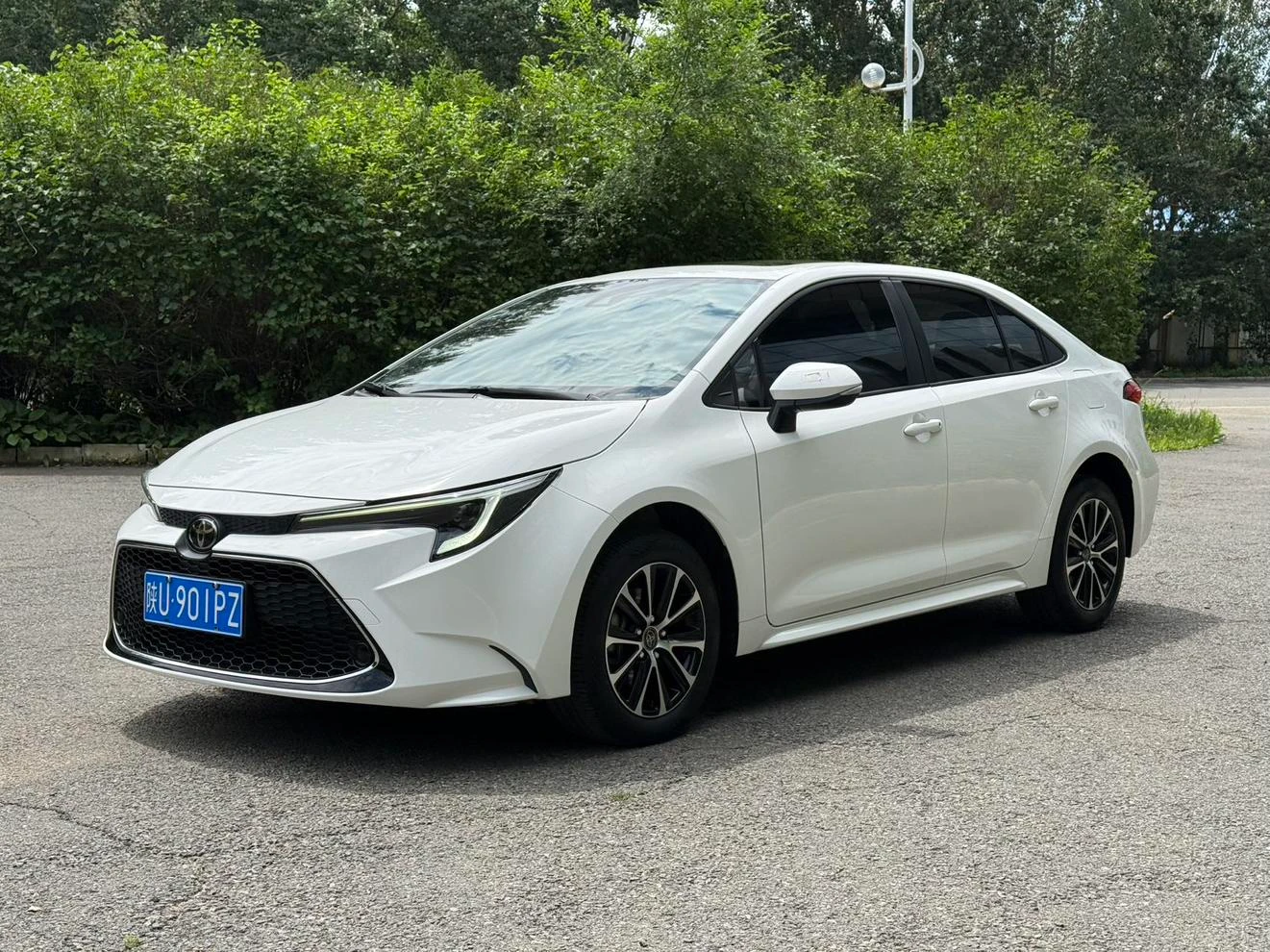 Toyota Levin 185T Luxury Edition