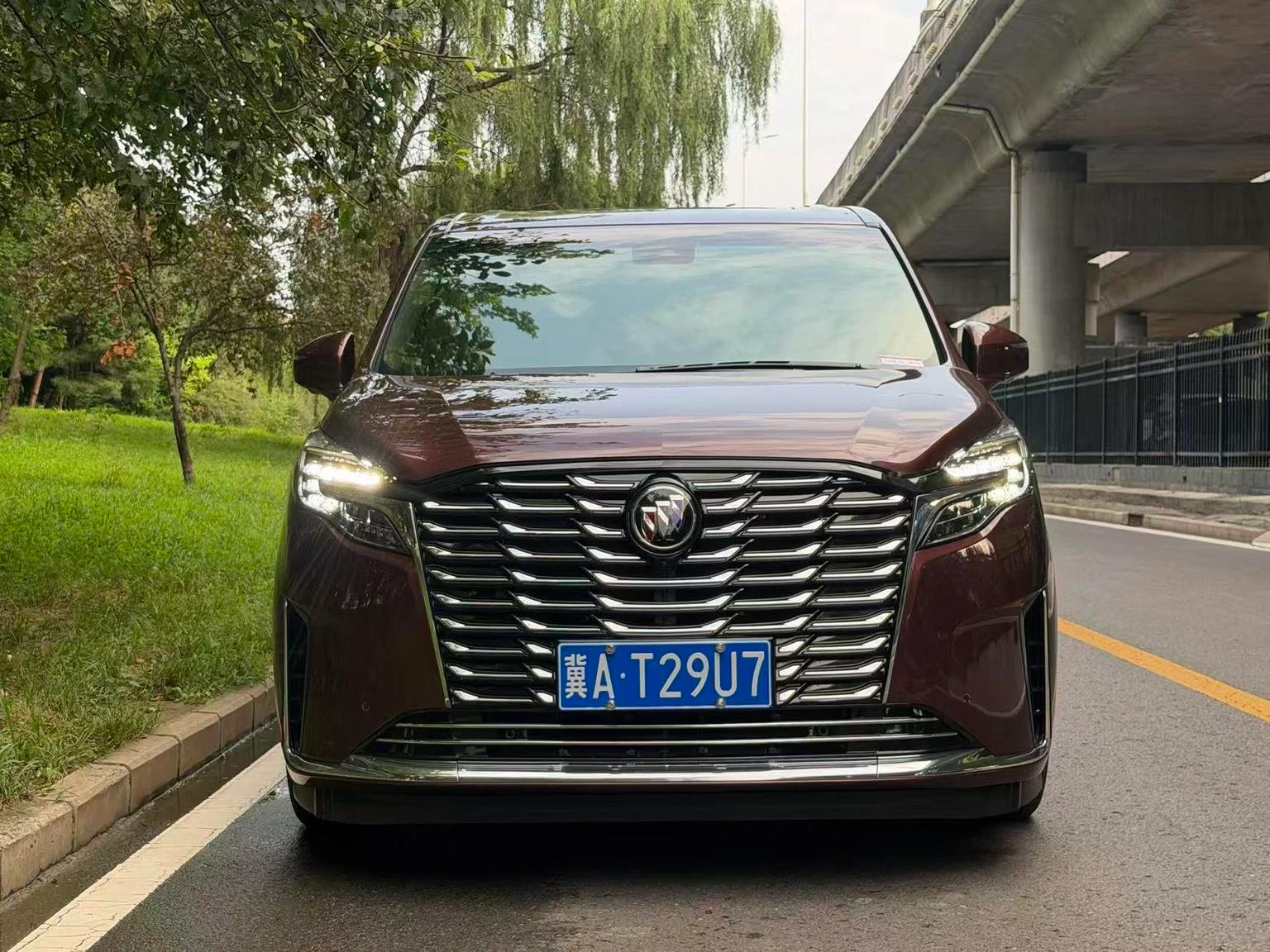 Buick GL8 ES Land Zun 2.0T Luxury - exterior
