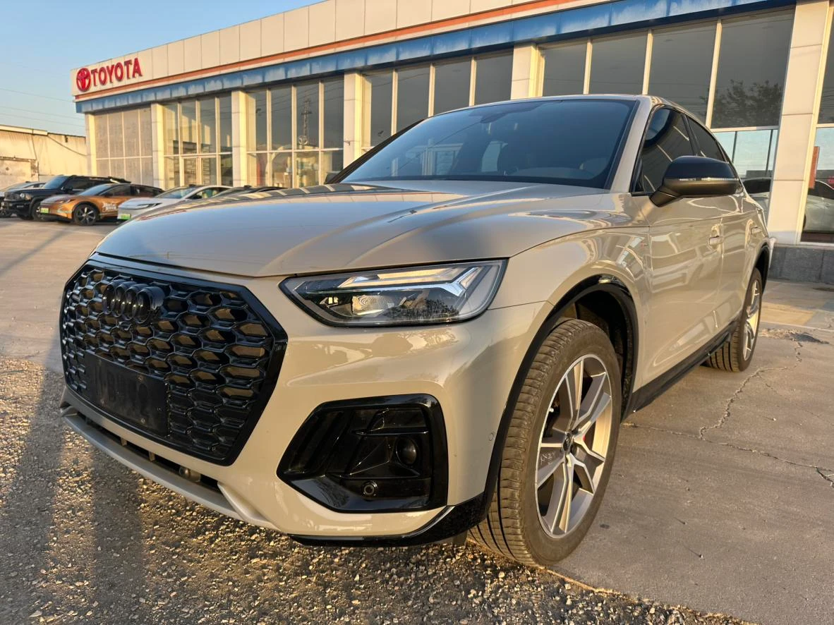Audi Q5L Sportback 40 TFSI (Winter Sports Edition)