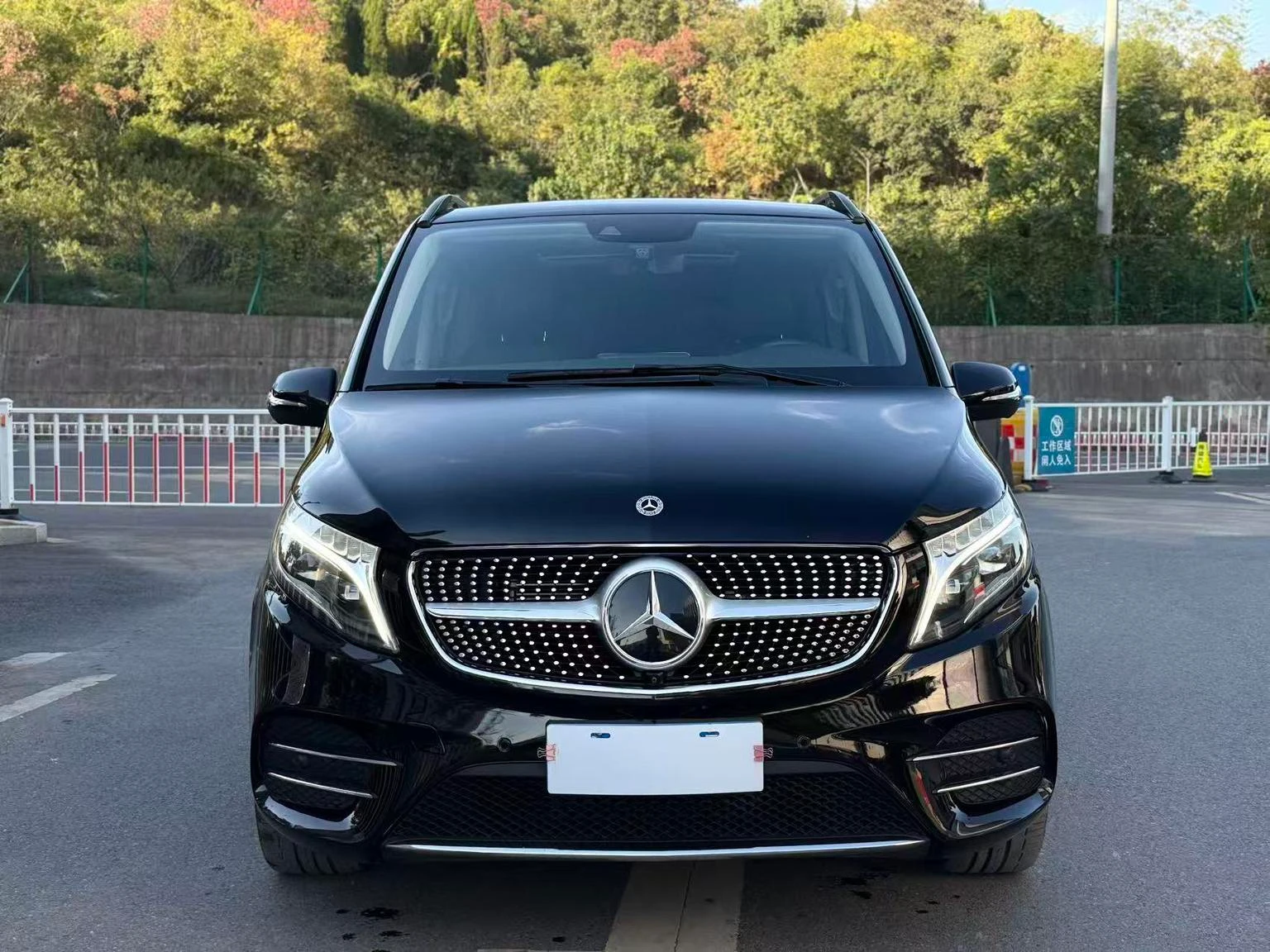 Mercedes-Benz V-Class  260 L - exterior