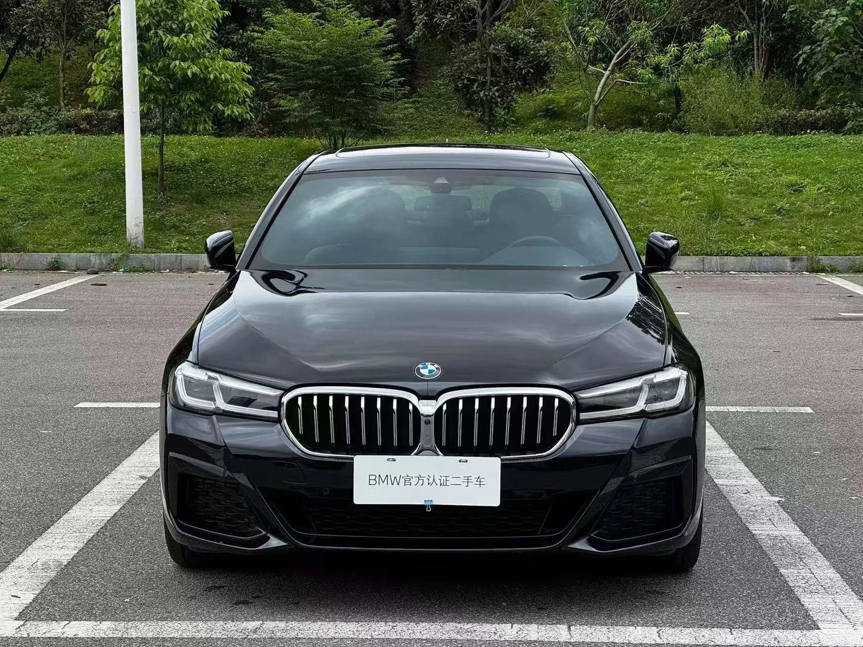 BMW 5 Series 530Li Luxury - exterior