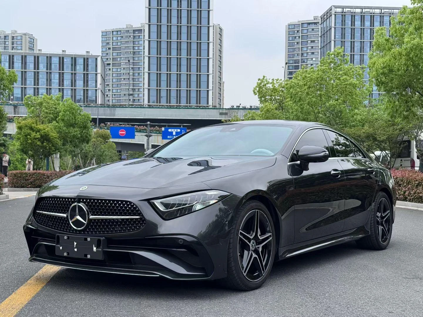 Mercedes-Benz CLS-Class CLS 300 Luxury Edition