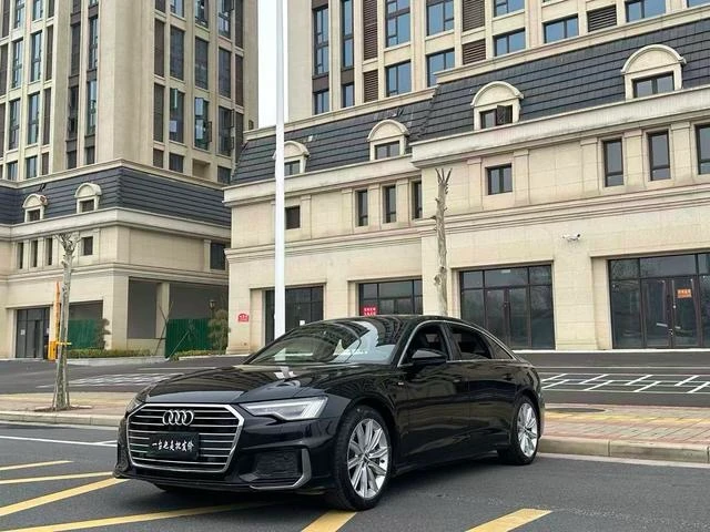 Audi A6L 45 TFSI ZhiXuan Dynamic Model