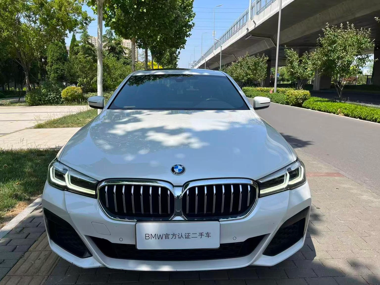BMW 5 Series 530Li Leading M Sport Package