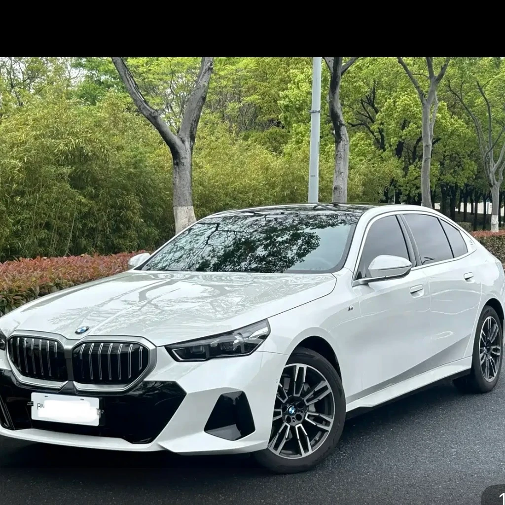 BMW 5 Series 530L Leading