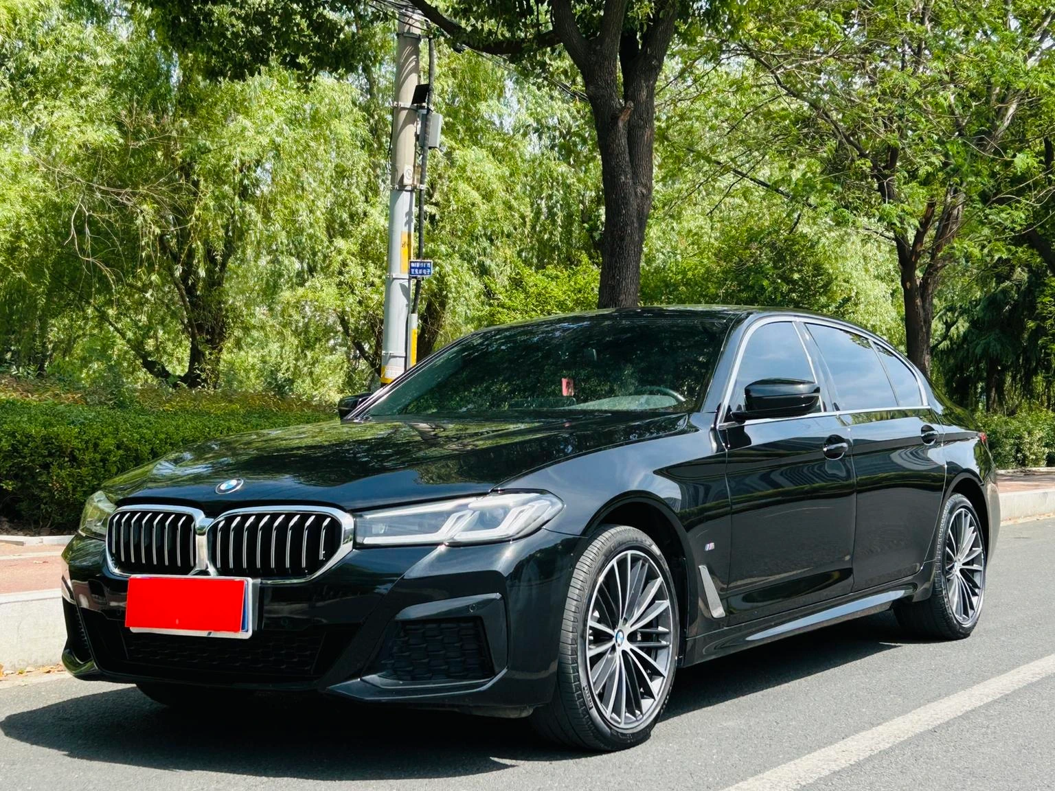 BMW 5 Series 530Li Leading Edition