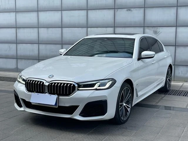 BMW 5 Series 530Li Leading