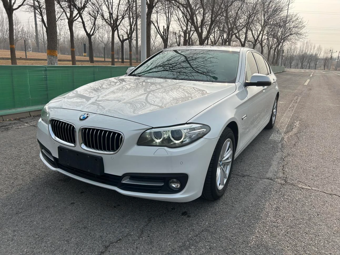 BMW 5 Series 520Li Elegance