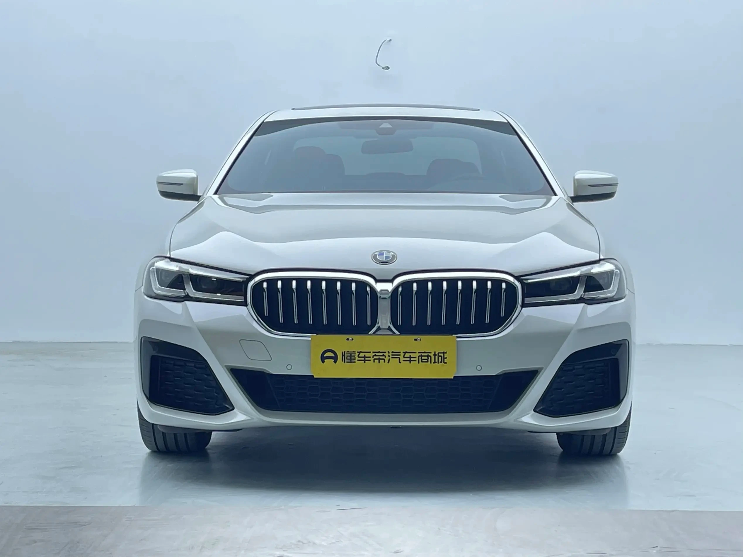 BMW 5 Series 530Li Leading - exterior