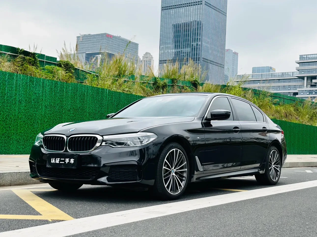 BMW 5 Series 530Li Leading Edition