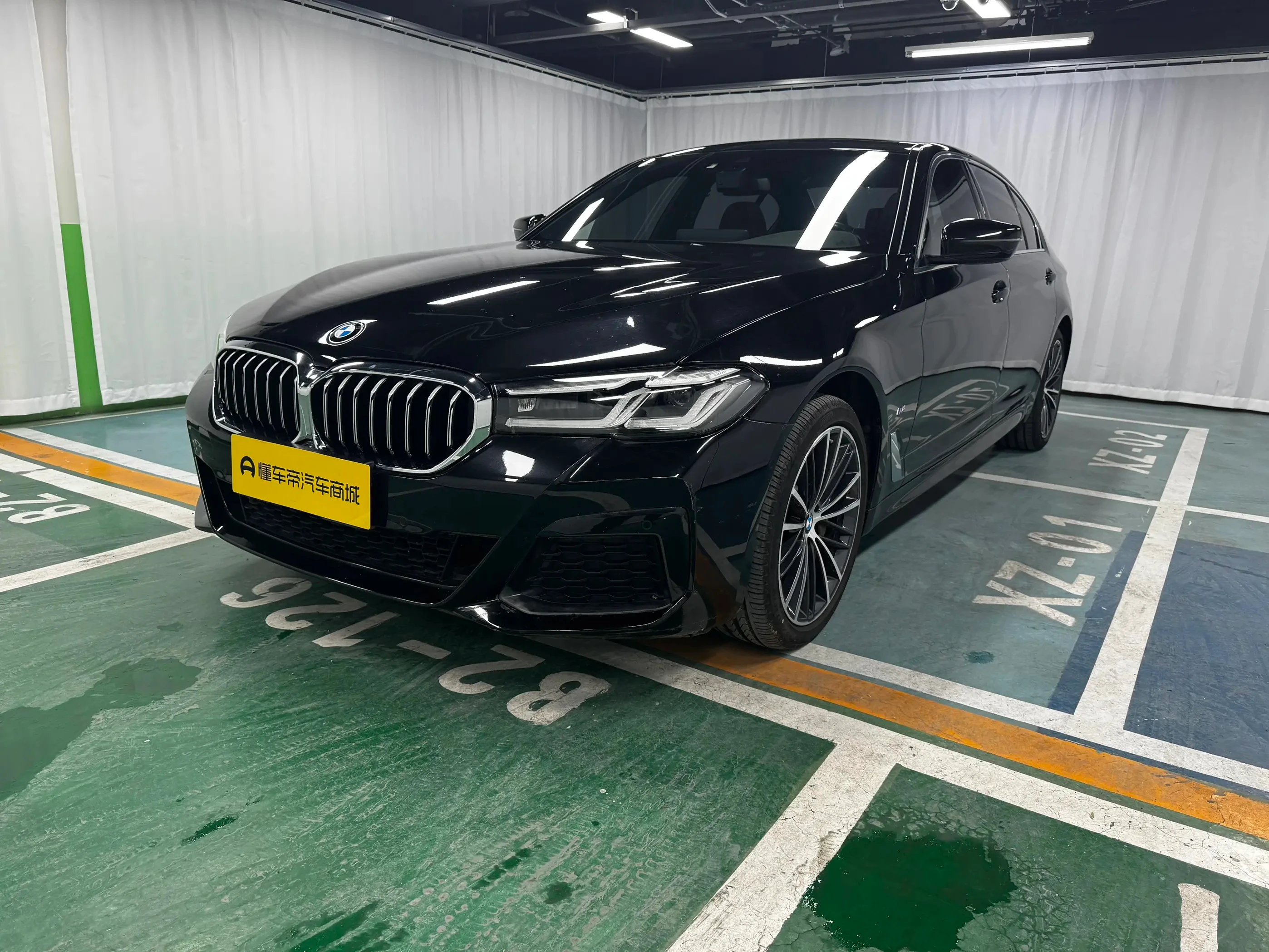 BMW 5 Series 530Li Leading