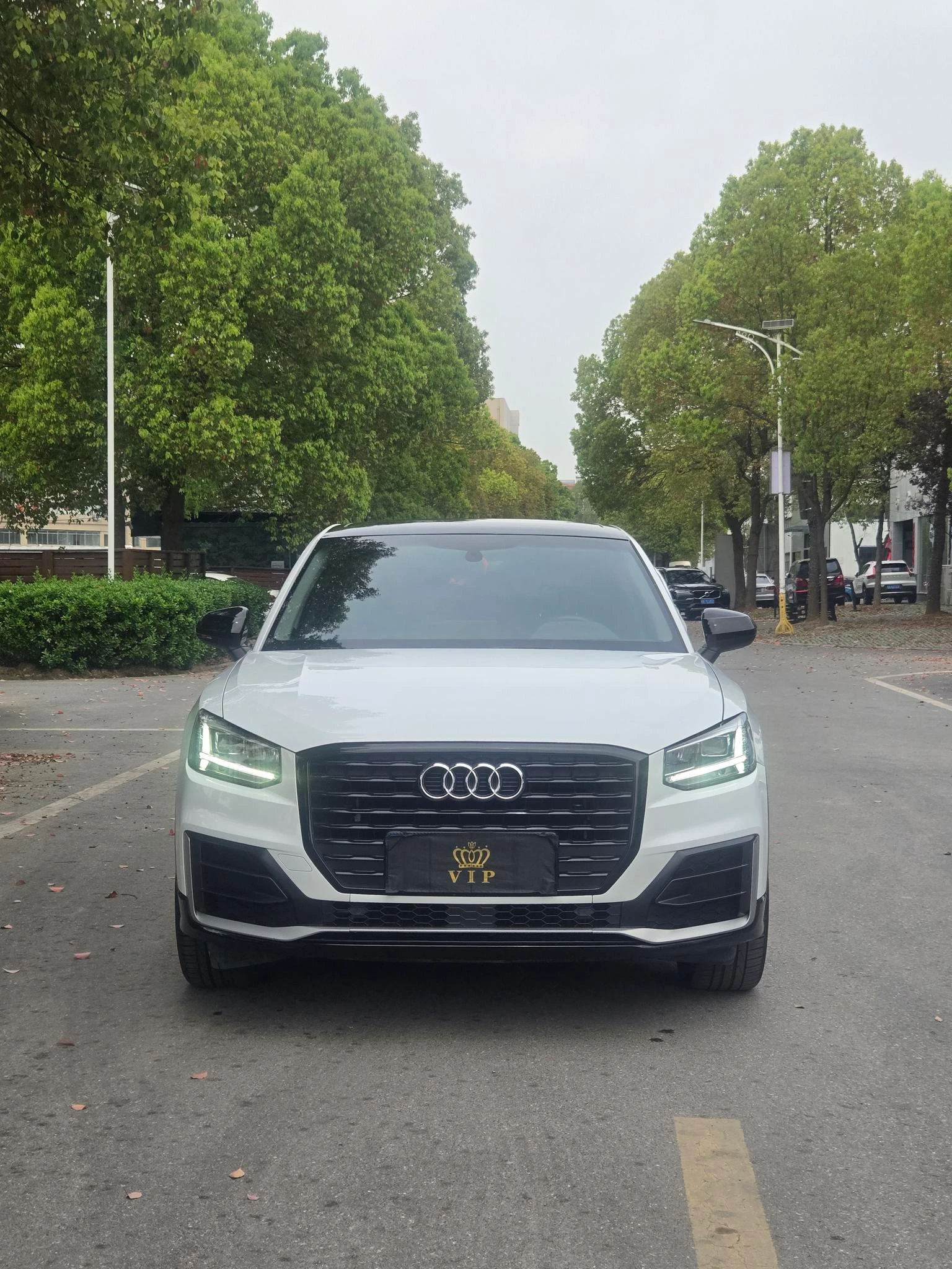 Audi Q2L 35 TFSI (Fashion Elegant Trim) - exterior