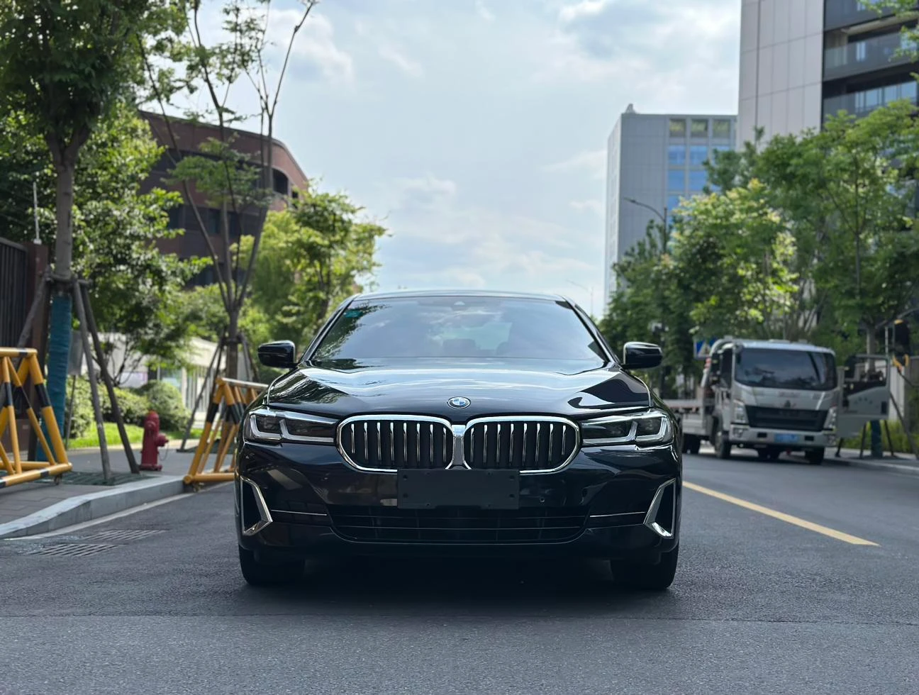 BMW 5 Series 530Li Leading trim Luxury Package - exterior