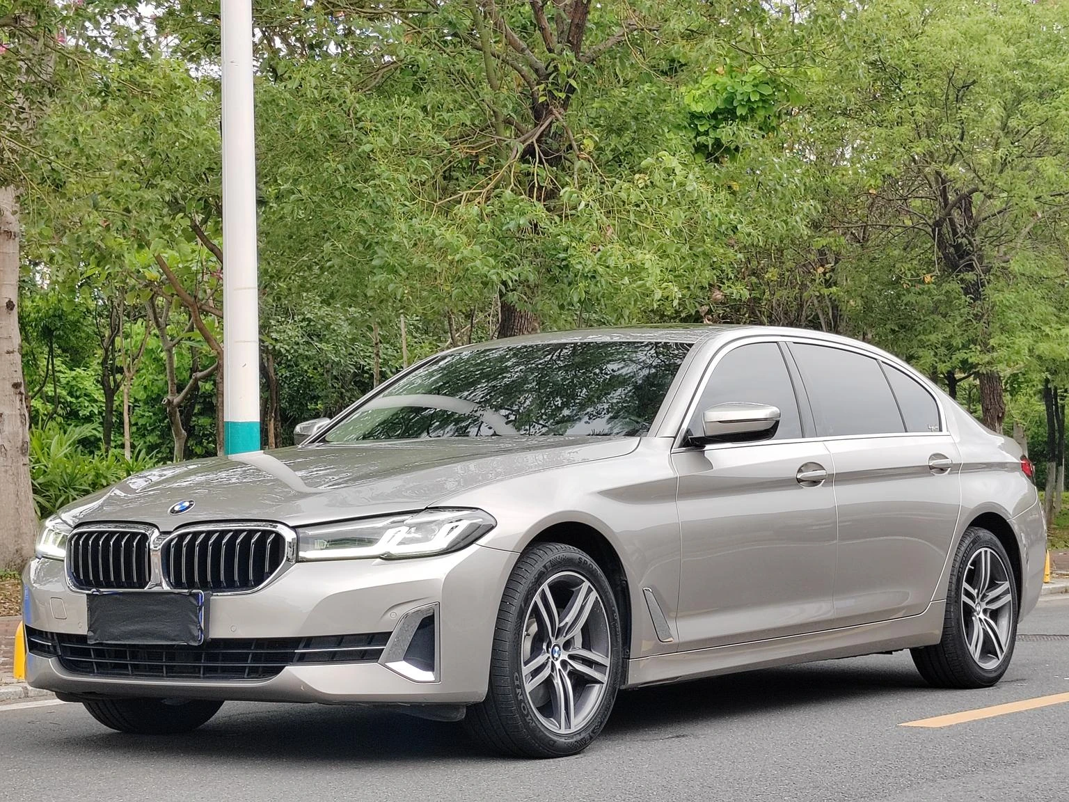 BMW 5 Series 530Li Leading Luxury Package - exterior