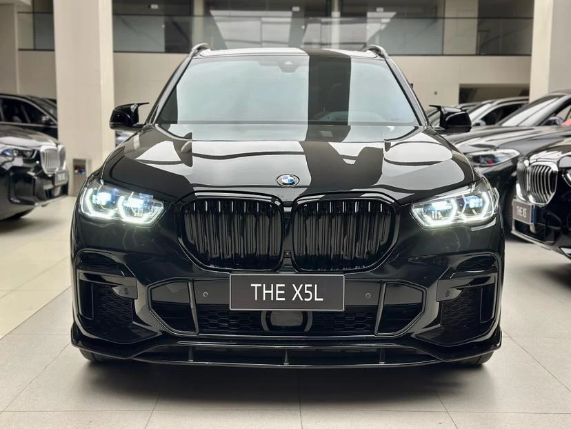 BMW X5 xDrive 40Li M Sport Package - exterior