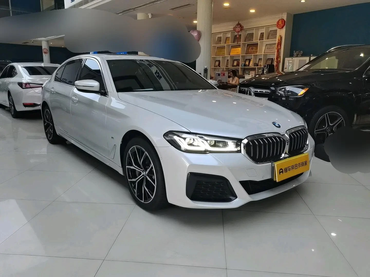 BMW 5 Series 530Li Luxury - exterior