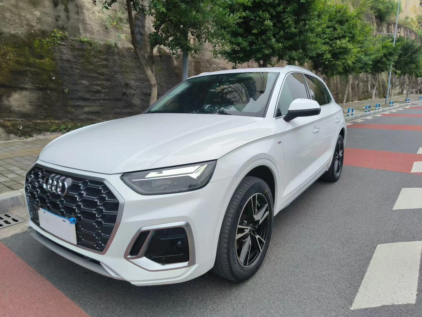 Audi Q5L 40 TFSI (Luxury Dynamic Trim)