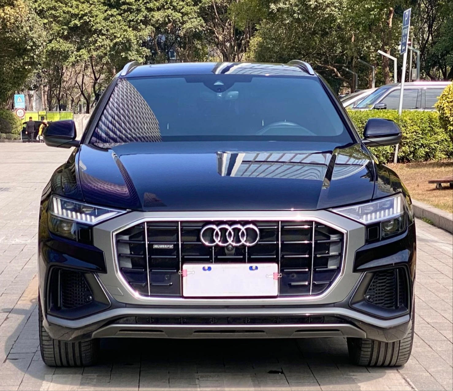 Audi Q8 55 TFSI (Selection Dynamic Trim) - exterior