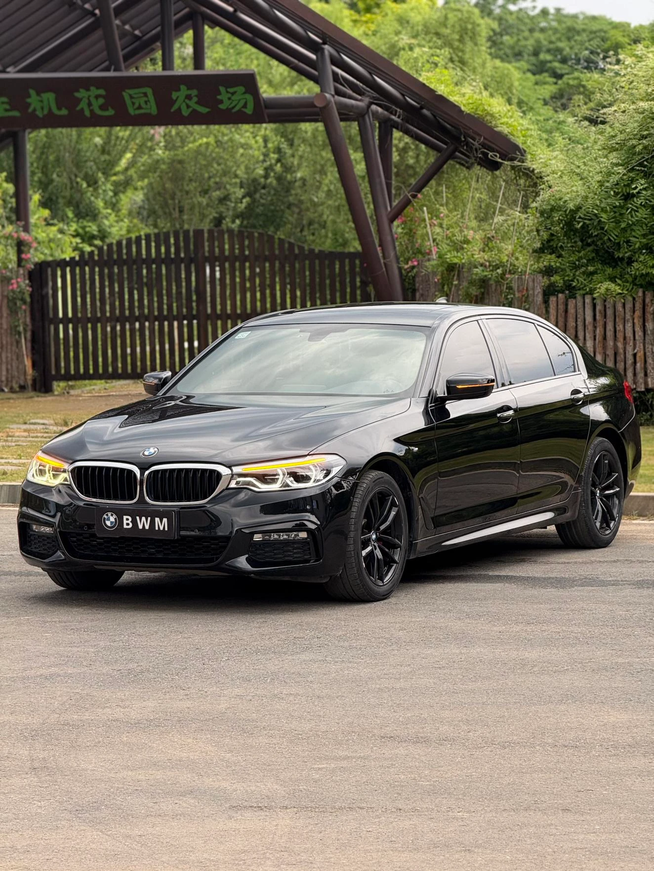 BMW 525 Li M Sport