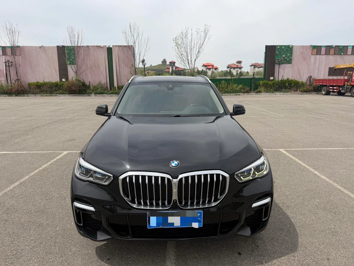 BMW X5 xDrive 30Li Luxury M Sport Package - exterior