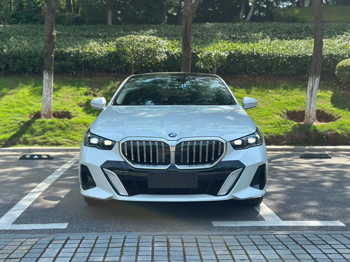 BMW 5 Series 530Li Luxury M Sport Package - exterior