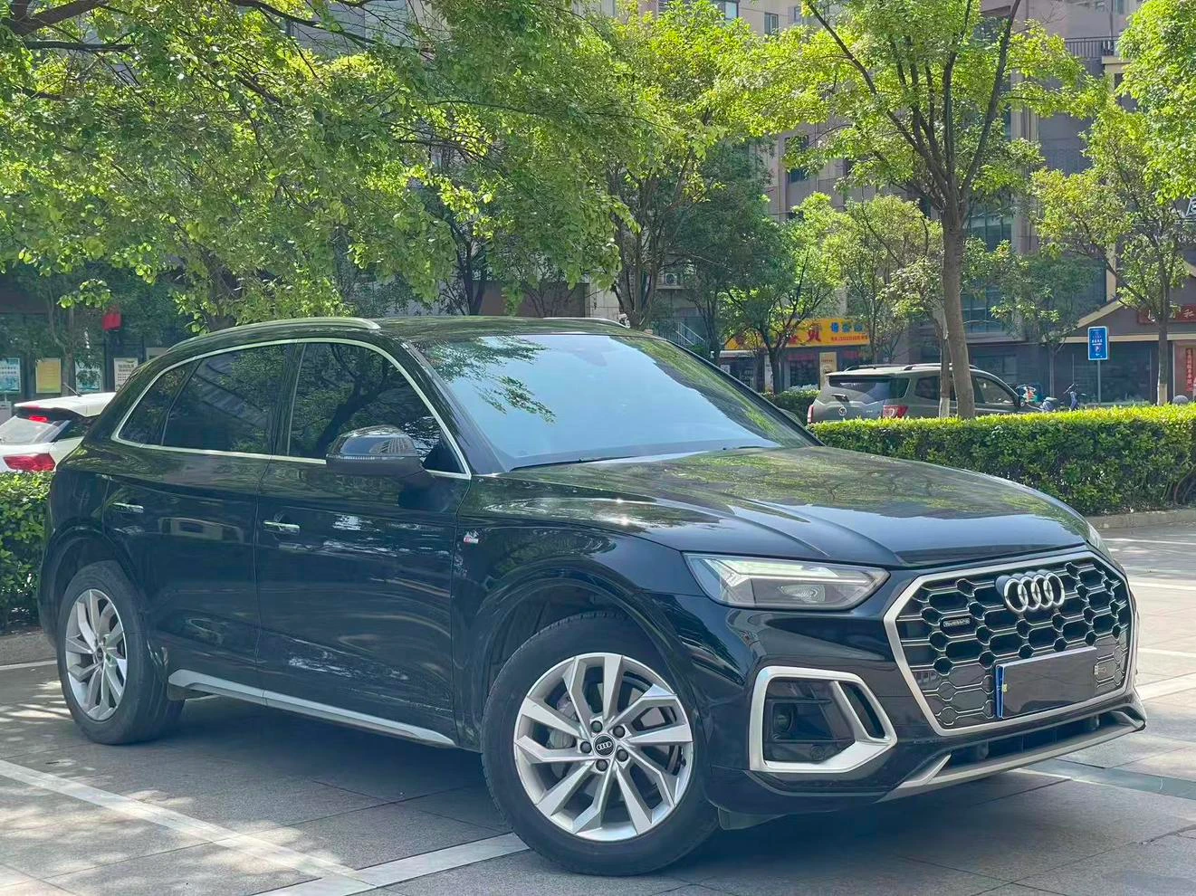 Audi Q5L 40 TFSI (Luxury Dynamic Trim) - exterior