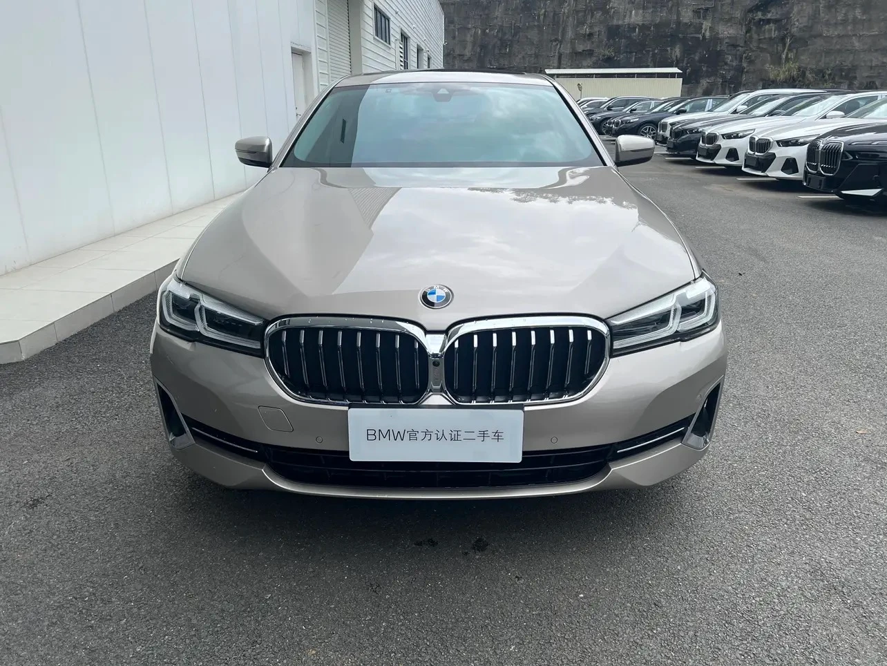 BMW 5 Series 530Li Luxury - exterior