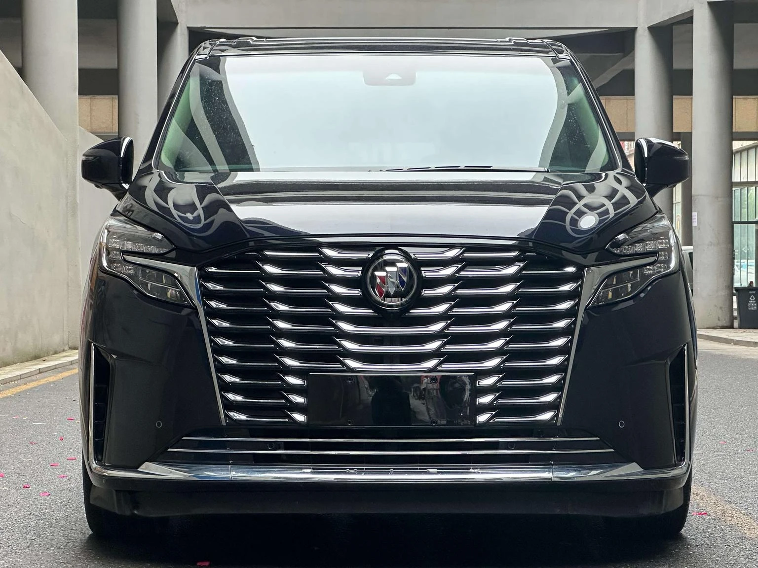 Buick GL8 ES Luzun 2.0T Luxury - exterior