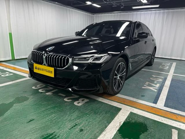 BMW 5 Series 530Li Leading Edition