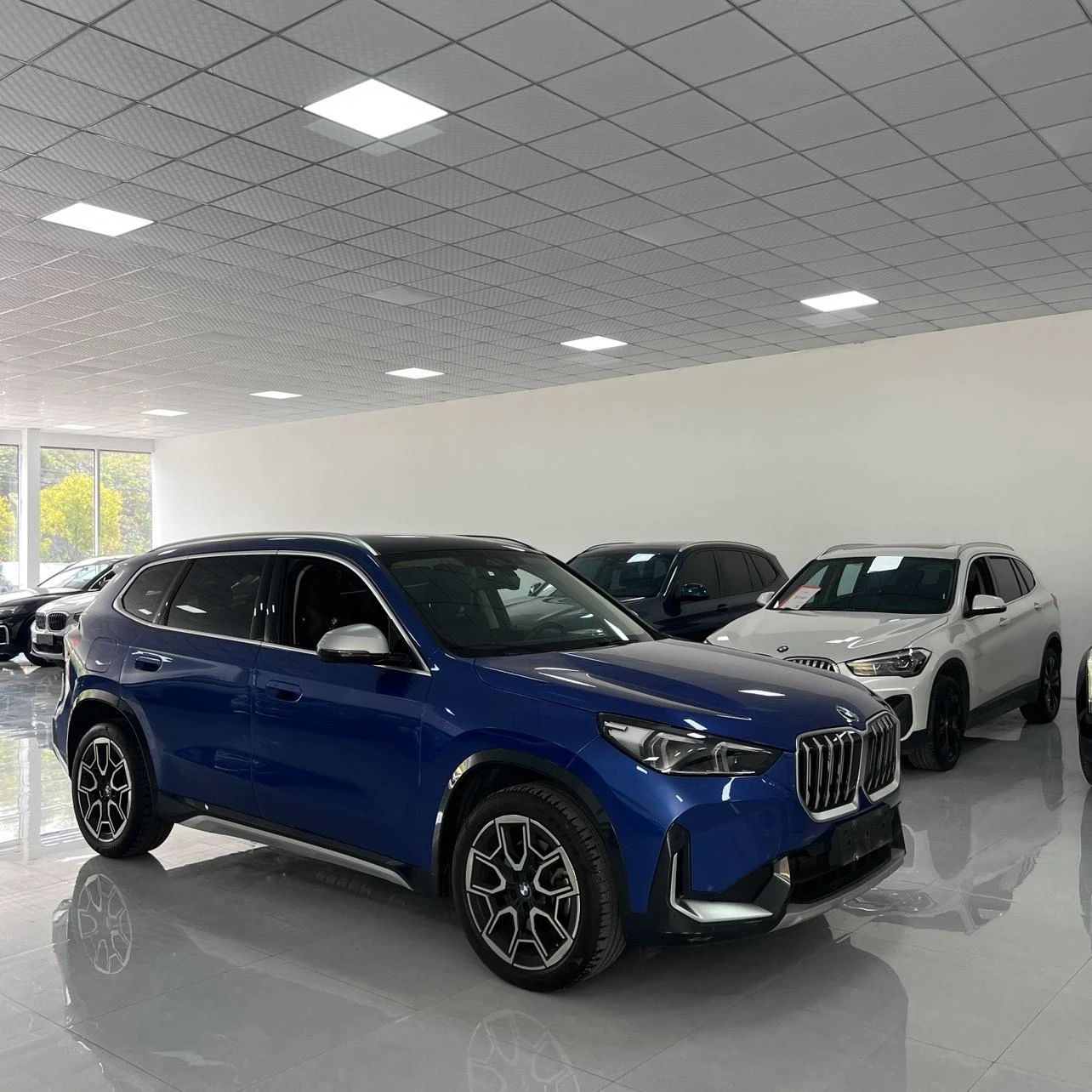 BMW X1 sDrive25Li X Design Package