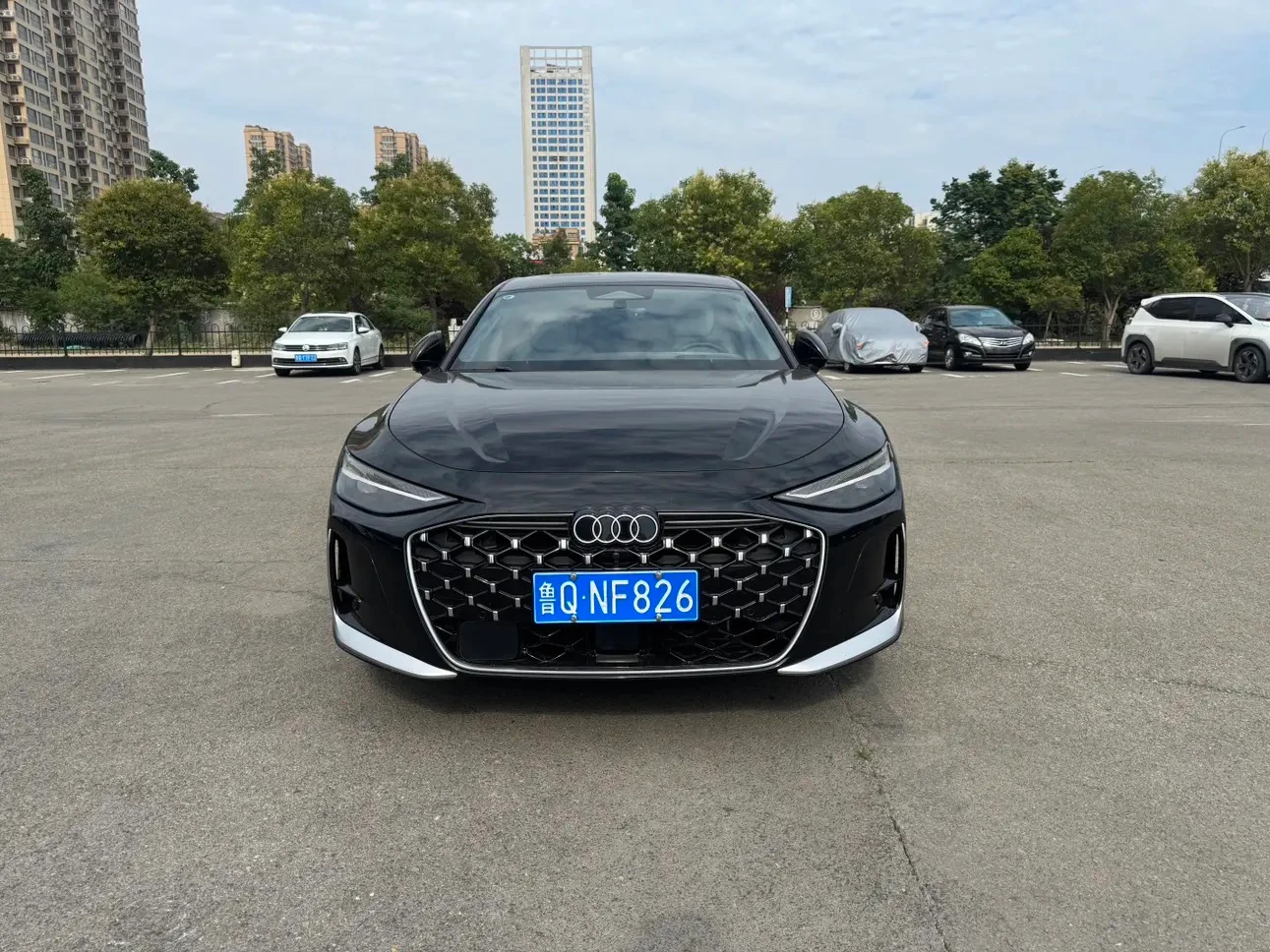Audi A6 TFSI Premium Elegant Trim