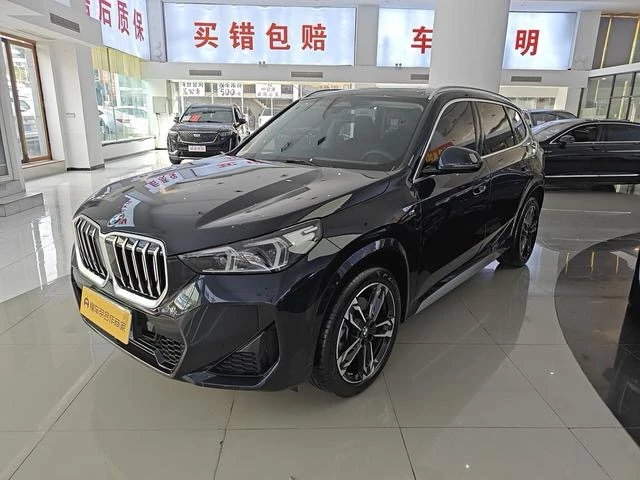 BMW X5 xDrive 25Li M Sport Package