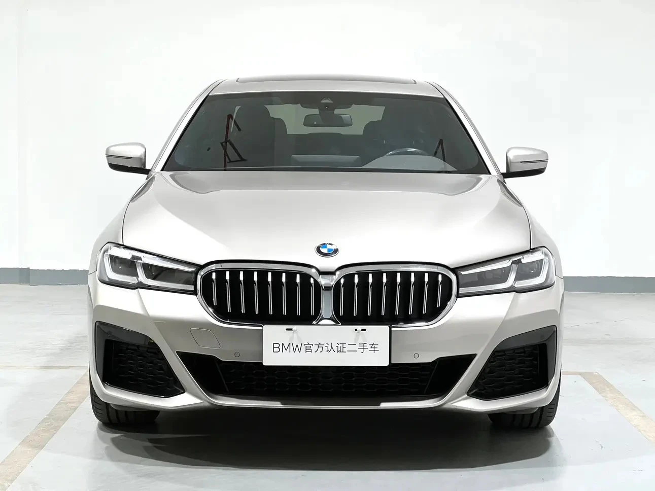 BMW 5 Series 525Li M Sport Package - exterior