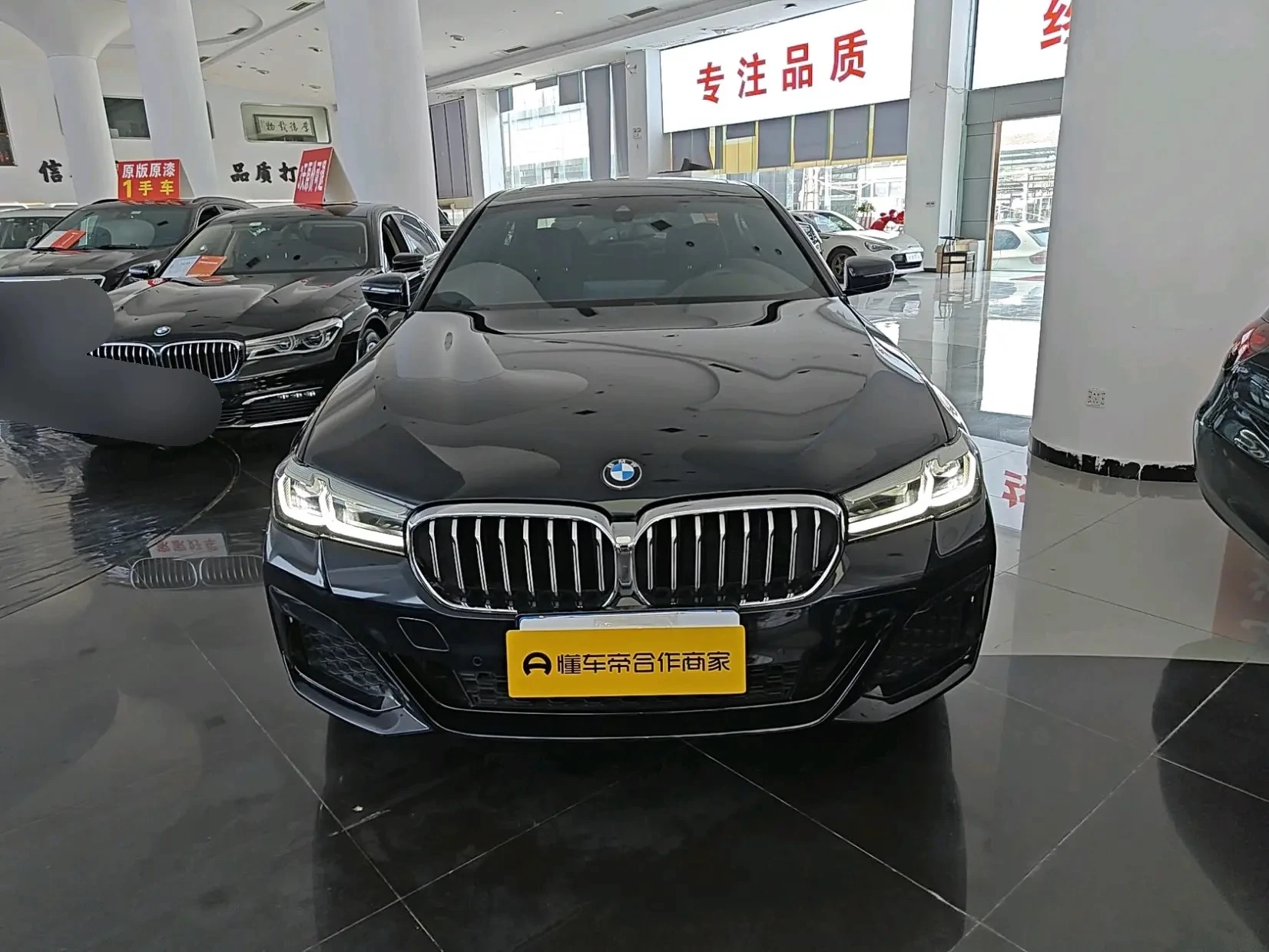 BMW 5 Series 530Li Leading - exterior