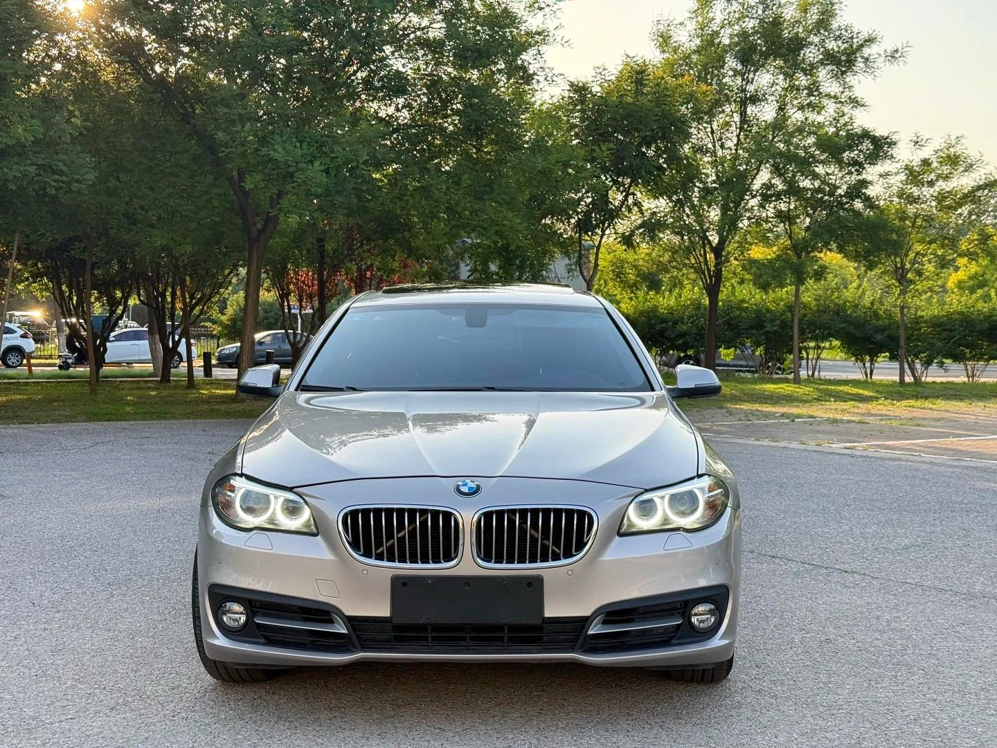 BMW 5 Series 525Li Leading Trim - exterior