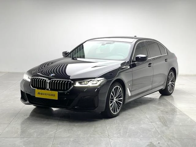 BMW 5 Series 530Li Leading Edition