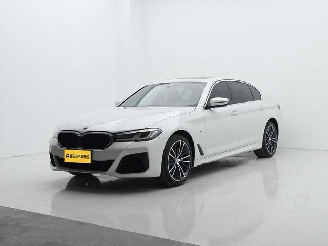 BMW 5 Series 530Li Leading