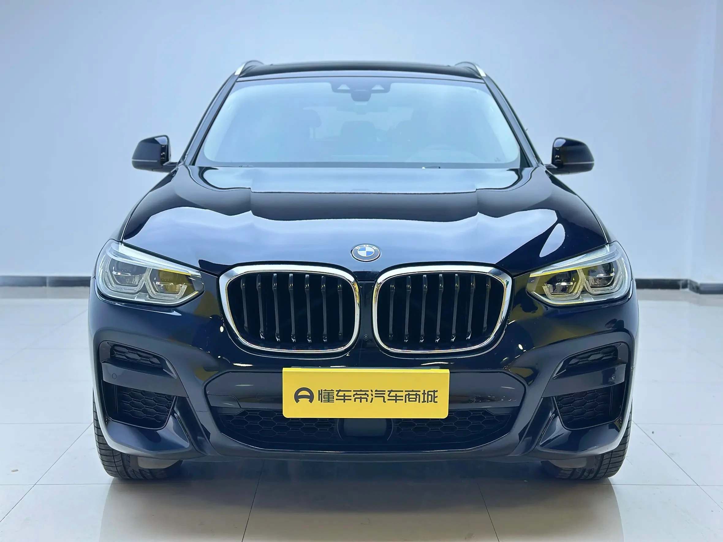 BMW X3 30i Leading - exterior