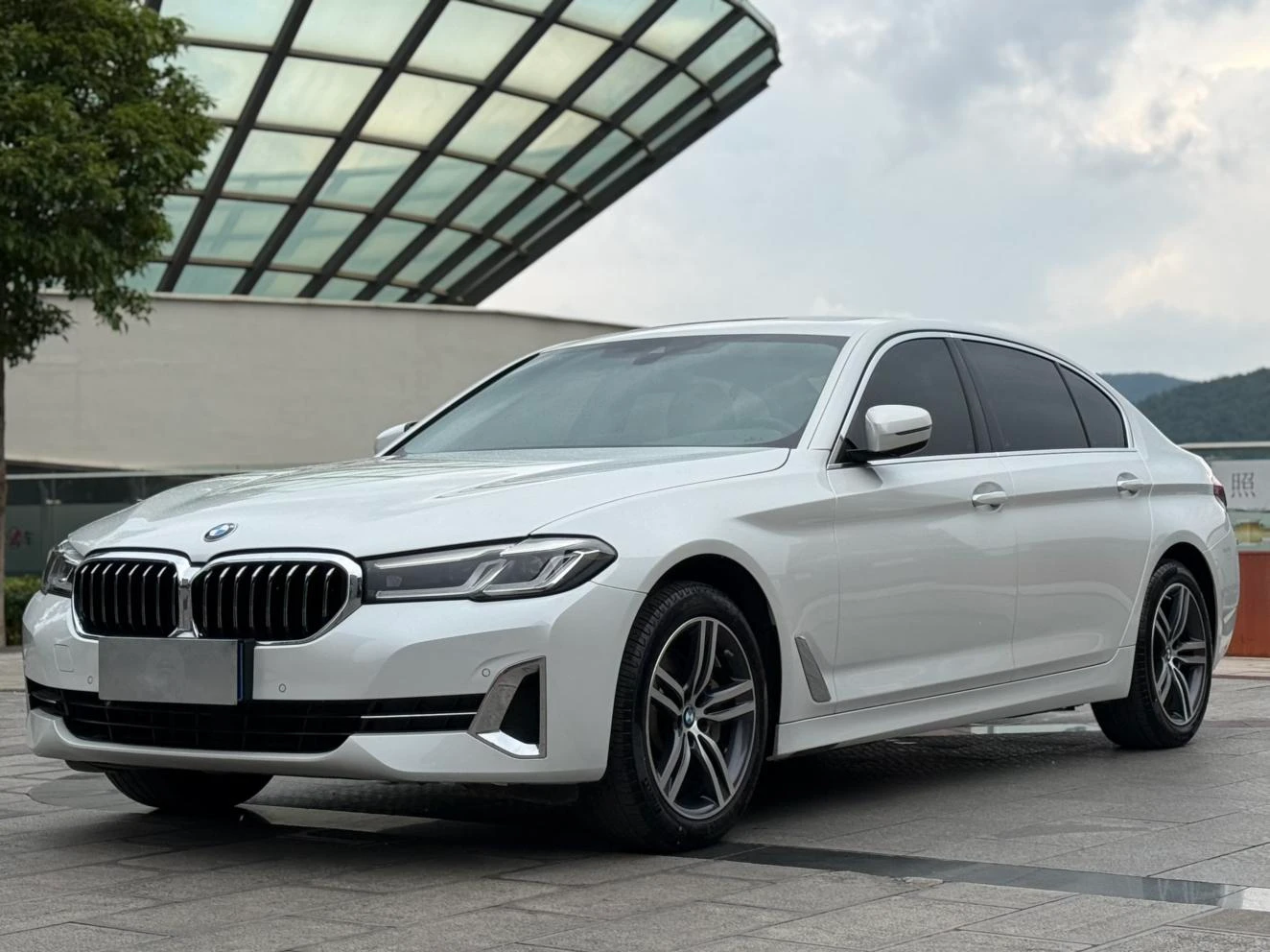 BMW 5 Series 530Li 