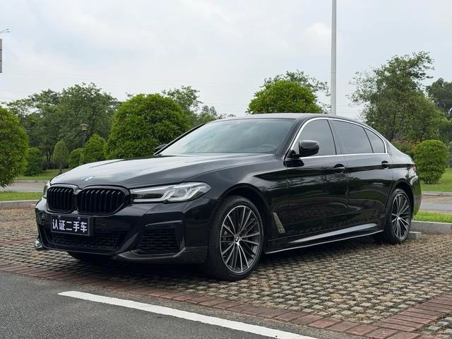 BMW 5 Series 530Li Leading Edition