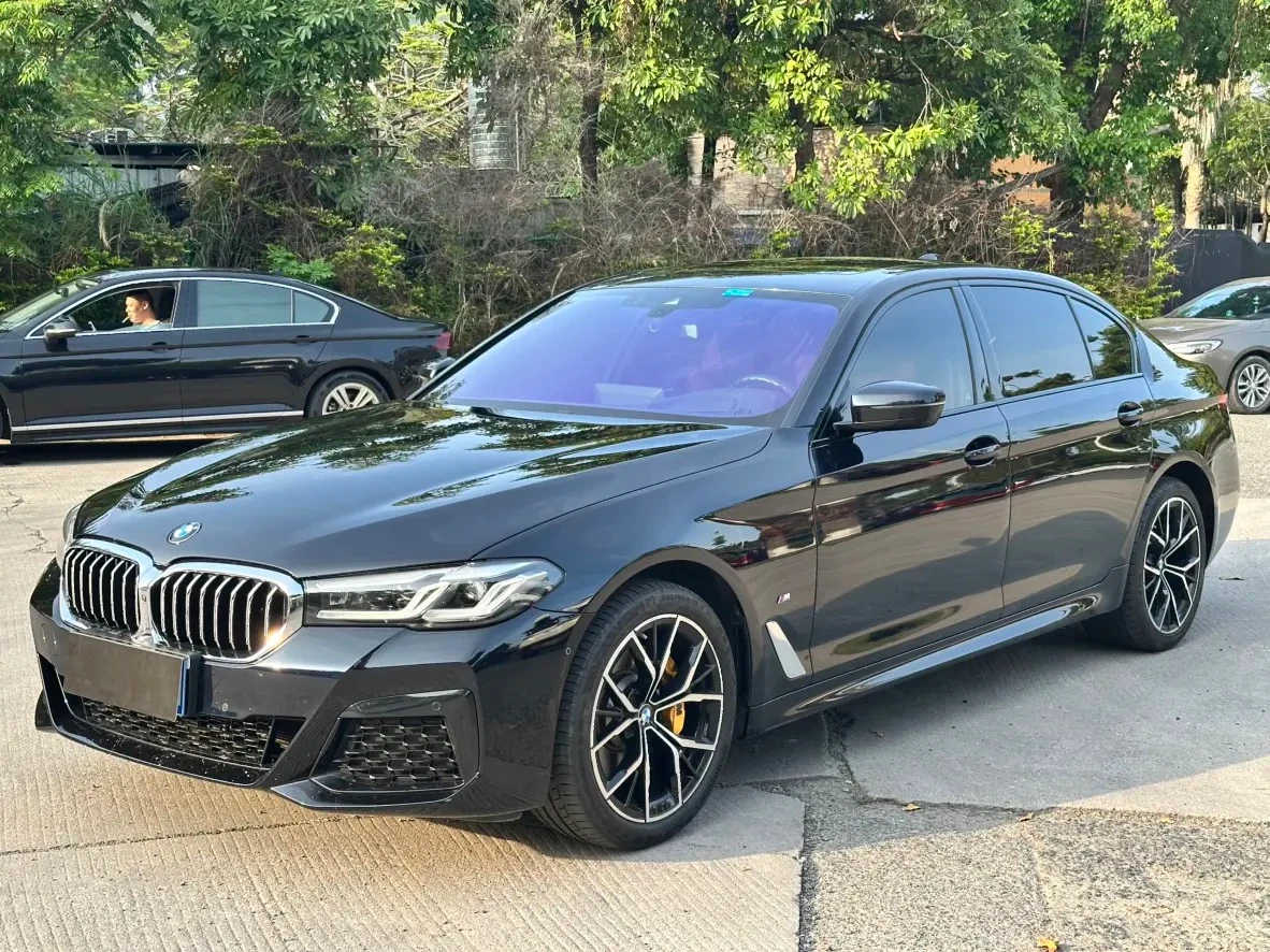 BMW 5 Series 530Li Luxury