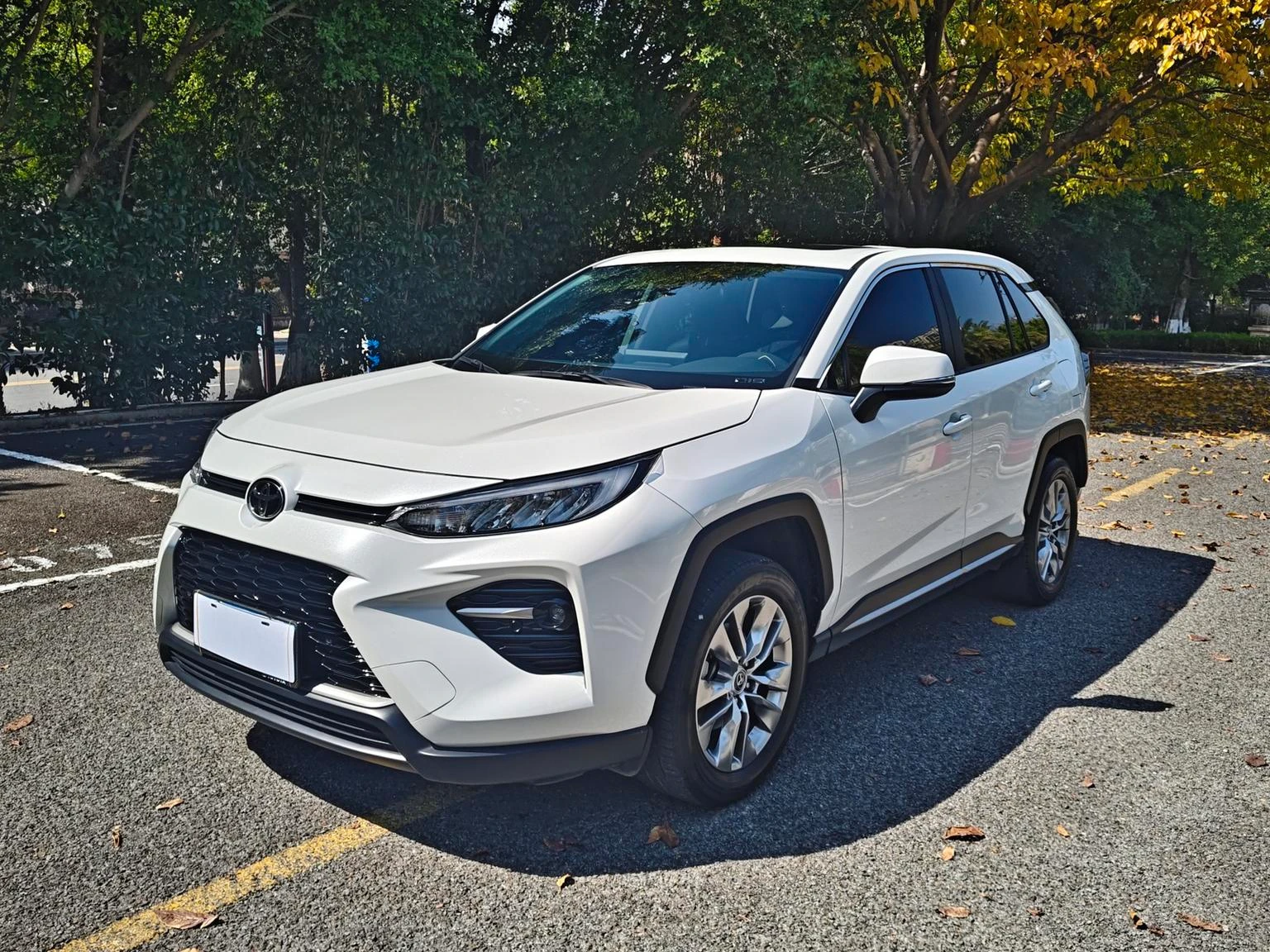 Toyota Wildlander 2.0L 2WD Urban Edition