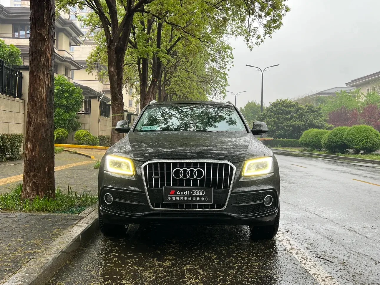 Audi Q5 Collector's Edition 40TFSI Progressive - exterior